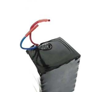 6S4P Li-ion Battery Pack 24V 8800mAh with BMS