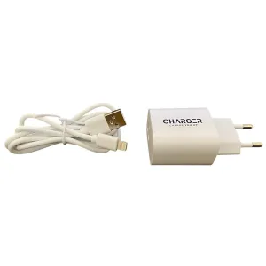 Travel Charger 5V 2.1A Dual USB Output with iphone USB Cable (MC-132-A)