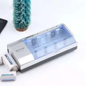 Beston Battery Charger BST-C821BW