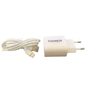 Travel Charger 5V 2.1A Dual USB Output with Type-C USB Cable (MC-132-A)